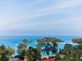 4 Schlafzimmer Haus zu verkaufen in Koh Samui, Surat Thani, Bo Phut