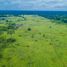  Grundstück zu verkaufen in Silves, Amazonas, Silves, Silves