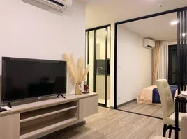 1 Bedroom Condo for rent at The Collect Ratchada 32, Chantharakasem