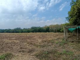  Land for sale in Chiang Mai, Mae Kha, Fang, Chiang Mai