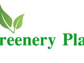 开发商 of Greenery Place