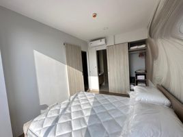 1 Schlafzimmer Appartement zu vermieten im Sky Park, Choeng Thale