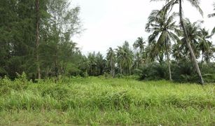 N/A Land for sale in Bang Muang, Phangnga 