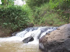 在黎出售的 土地, Nong Bua, Phu Ruea, 黎