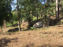  Land for sale in Patong, Kathu, Patong