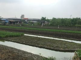  Grundstück zu verkaufen in Krathum Baen, Samut Sakhon, Khlong Maduea