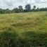 Land for sale in Phayakkhaphum Phisai, Maha Sarakham, Mek Dam, Phayakkhaphum Phisai