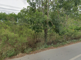  Land for sale in Thung Khwai Kin, Klaeng, Thung Khwai Kin