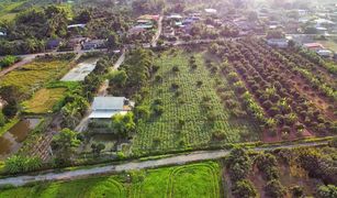 N/A Land for sale in Mae Faek, Chiang Mai 