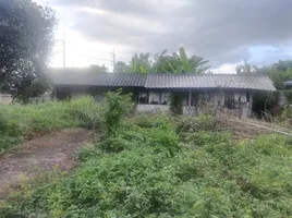 1 Schlafzimmer Haus zu verkaufen in Mueang Lampang, Lampang, Chomphu