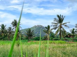  Grundstück zu verkaufen in Hua Hin, Prachuap Khiri Khan, Thap Tai