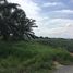  Land for sale in Bo Nok, Mueang Prachuap Khiri Khan, Bo Nok