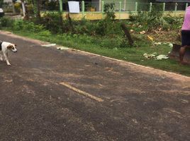  Land for sale in Mueang Surin, Surin, Mueang Thi, Mueang Surin