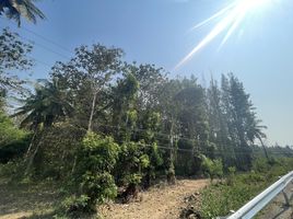  Grundstück zu verkaufen in Hua Hin, Prachuap Khiri Khan, Nong Phlap, Hua Hin