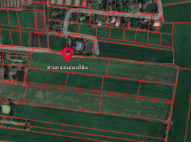  Grundstück zu verkaufen in Lat Bua Luang, Phra Nakhon Si Ayutthaya, Singhanat, Lat Bua Luang