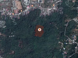  Land for sale in Phuket Town, Phuket, Karon, Phuket Town