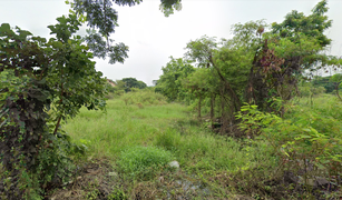 N/A Land for sale in Nong Chom, Chiang Mai 