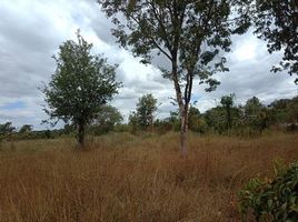  Land for sale in Pho Chai, Mueang Nong Khai, Pho Chai