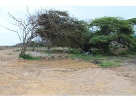  Land for sale in Yasuni, Aguarico, Yasuni