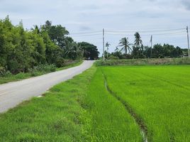  Land for sale in Nakhon Pathom, Wang Taku, Mueang Nakhon Pathom, Nakhon Pathom