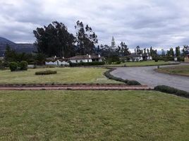  Grundstück zu verkaufen in Cotacachi, Imbabura, Cotacachi, Cotacachi, Imbabura, Ecuador