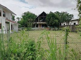  Land for sale in Chiang Mai, Pa Tan, Mueang Chiang Mai, Chiang Mai
