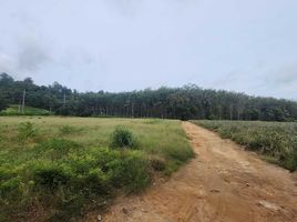  Grundstück zu verkaufen in Thalang, Phuket, Thep Krasattri