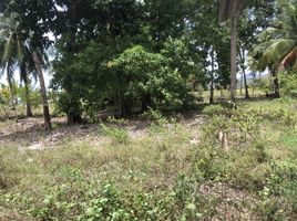  Land for sale in Surat Thani, Maenam, Koh Samui, Surat Thani