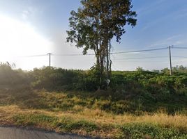  Land for sale in Sangkha, Surin, Ban Chop, Sangkha