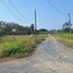  Land for sale in Saraphi Chiang Mai, Chomphu, Saraphi