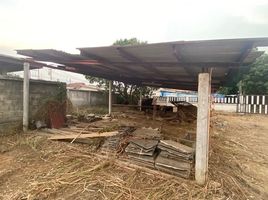  Land for sale in Ginger Farm Chiang Mai, Tha Wang Tan, Tha Wang Tan