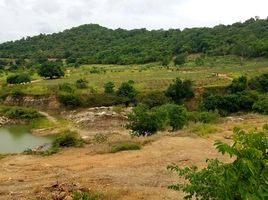  Grundstück zu verkaufen in Pran Buri, Prachuap Khiri Khan, Wang Phong