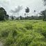  Land for sale in Phuket, Mai Khao, Thalang, Phuket