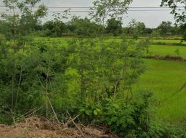  Land for sale in Tha Ruea, Phra Nakhon Si Ayutthaya, Tha Chao Sanuk, Tha Ruea