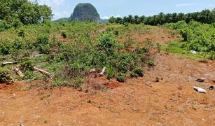 N/A Land for sale in Nong Thale, Krabi 