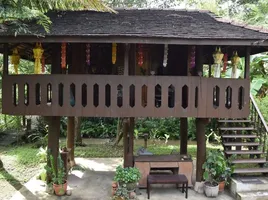 在湄林, 清迈出售的4 卧室 屋, San Pong, 湄林