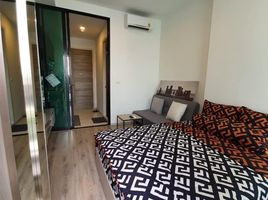 1 Bedroom Apartment for rent at Knightsbridge Collage Ramkhamhaeng, Hua Mak, Bang Kapi, Bangkok
