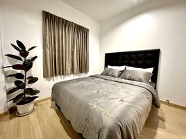 3 Bedroom House for rent at Siri Village Phuket- Anusawari, Pa Khlok, Thalang