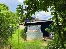  Grundstück zu verkaufen in Mae Lao, Chiang Rai, Pong Phrae, Mae Lao