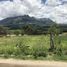  Land for sale in Imbabura, Cotacachi, Cotacachi, Imbabura