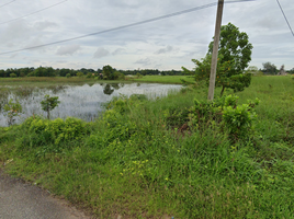  Grundstück zu verkaufen in Kabin Buri, Prachin Buri, Wang Dan, Kabin Buri, Prachin Buri