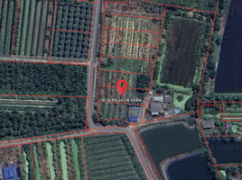  Grundstück zu verkaufen in Nakhon Chai Si, Nakhon Pathom, Khok Phra Chedi, Nakhon Chai Si