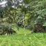  Land for sale in Koh Samui Surat Thani, Lipa Noi, Koh Samui, Surat Thani