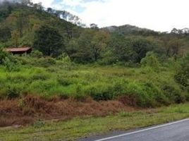  Grundstück zu verkaufen in San Sebastian Del Oeste, Jalisco, San Sebastian Del Oeste, Jalisco, Mexiko