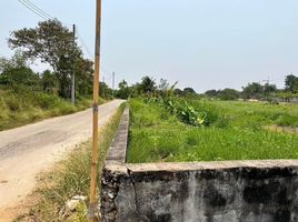  Grundstück zu verkaufen in Mueang Nakhon Pathom, Nakhon Pathom, Phrong Maduea