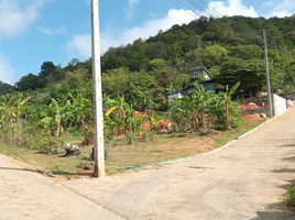  Land for sale in Phuket, Rawai, Phuket Town, Phuket