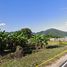  Land for sale in Nan, Thung Chang, Thung Chang, Nan