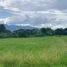  Land for sale in Chiang Mai, Nong Chom, San Sai, Chiang Mai