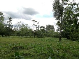  Land for sale in Sarapiqui, Heredia, Sarapiqui
