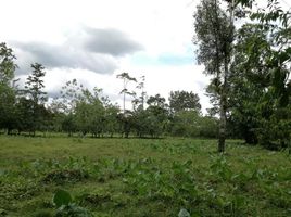  Land for sale in Costa Rica, Sarapiqui, Heredia, Costa Rica